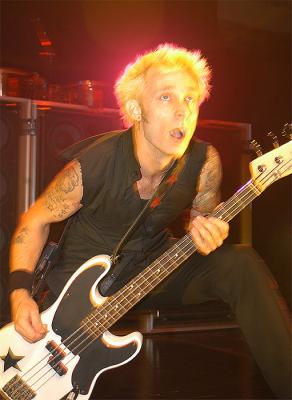 Tre Cool Photo (  )   -  Green Day /  - 52