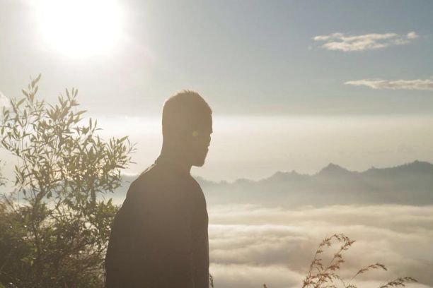 ����� ����� (Demid Rezin) ���� - ���������� ������� �������� � �������, ������, ��������� ���� NL / �������� - 653