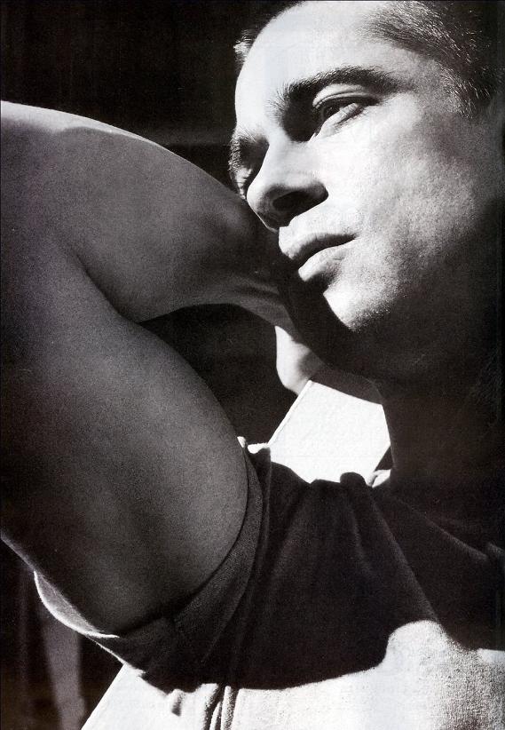 Brad Pitt Photo (  )   ,    /  - 93