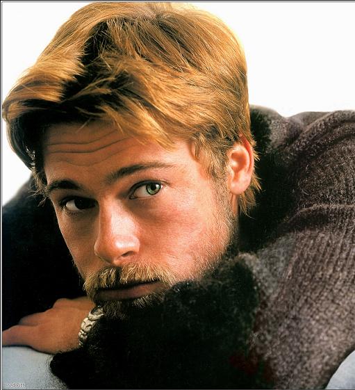 Brad Pitt Photo (  )   ,    /  - 96