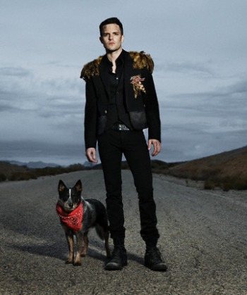 Brandon Flowers Photo (  ) ,       The Killers /  - 10