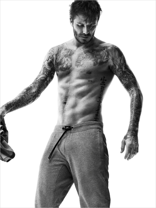 David Beckham Photo (  ) ,    /  - 10