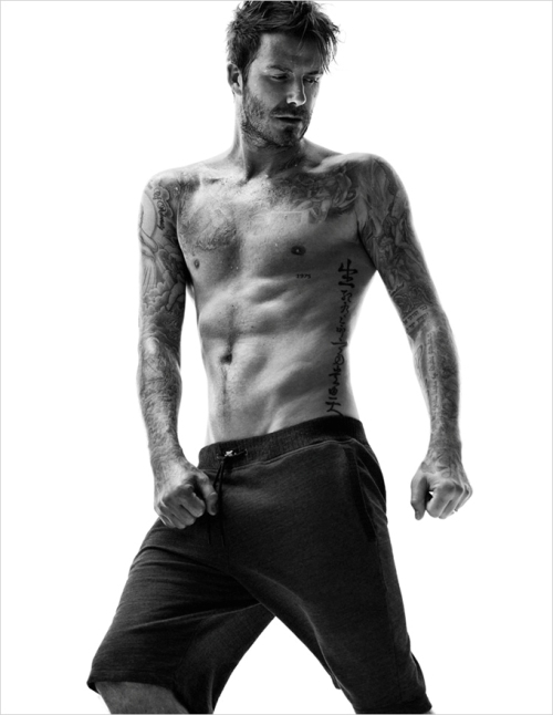 David Beckham Photo (  ) ,    /  - 13