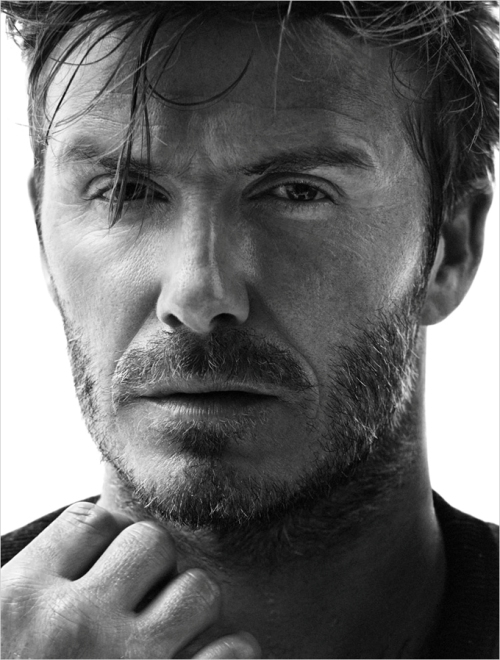 David Beckham Photo (  ) ,    /  - 14