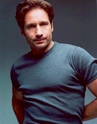 David Duchovny Photo (  )    /  - 3