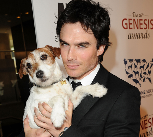 Ian Somerhalder Photo (  ) ,     ,  /  - 36