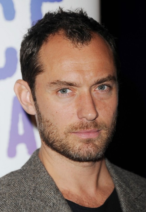 Jude Law Photo (  )  .    /  - 49