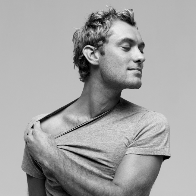 Jude Law Photo (  )  .    /  - 50