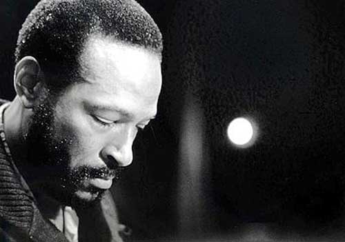 Marvin Gaye Photo (  )  , , -,  ,   /  - 3