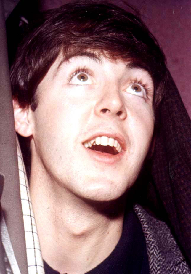 Paul McCartney Photo (  )  ,   The Beatles /  - 12