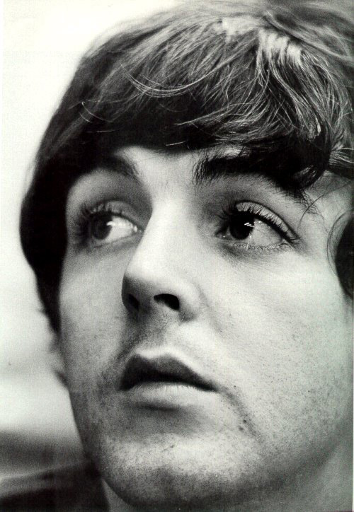 Paul McCartney Photo (  )  ,   The Beatles /  - 26