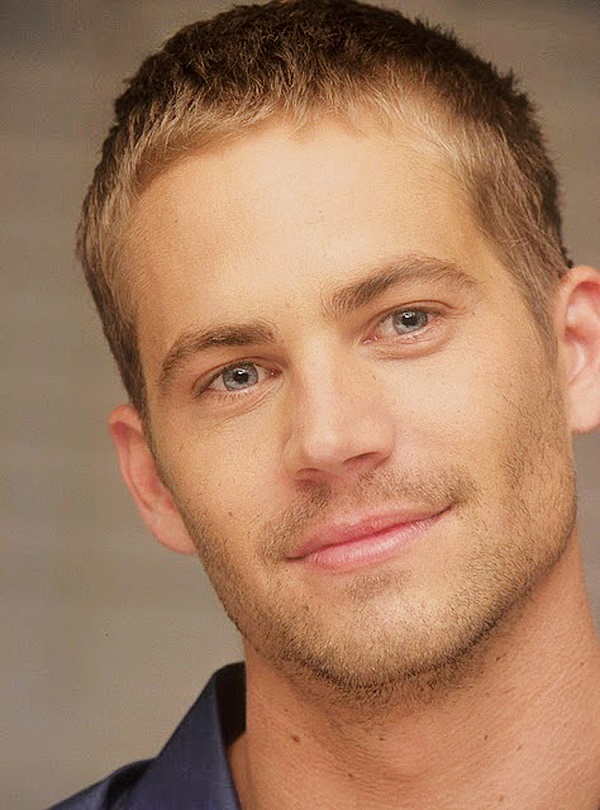 Paul Walker Photo (  )  ,   ,  /  - 5