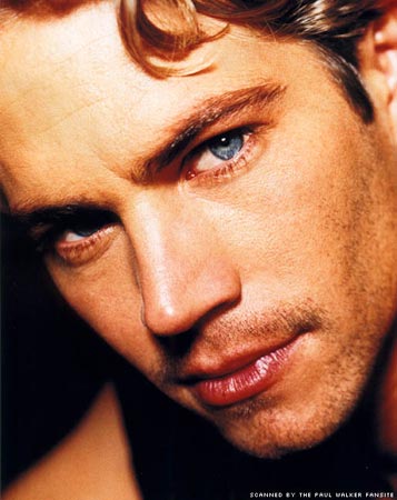 Paul Walker Photo (  )  ,   ,  /  - 22