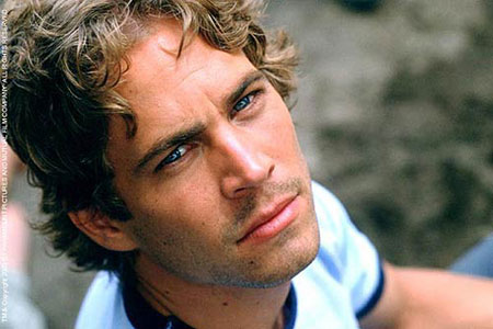 Paul Walker Photo (  )  ,   ,  /  - 36