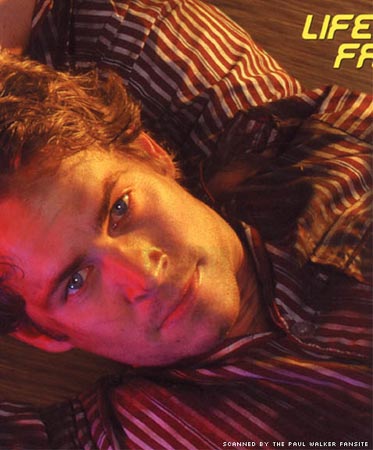 Paul Walker Photo (  )  ,   ,  /  - 42