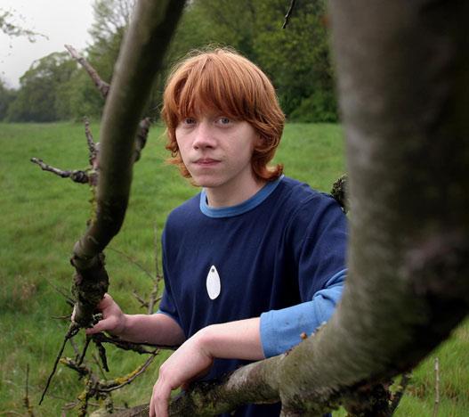 Rupert Grint Photo (  )    /  - 12