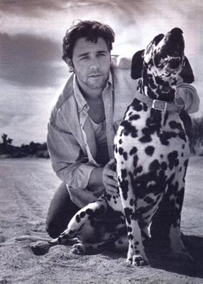 Russell Crowe Photo (  )    /  - 10