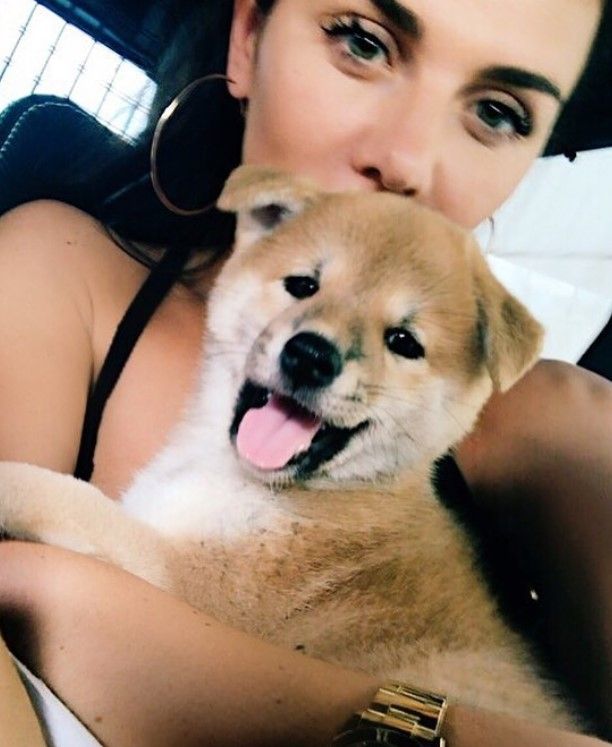 ���� �������� ���� (Anna Sedokova Photo) ������� ���������� ������, ���-�������� ������ ��� ���, ������ / �������� - 160