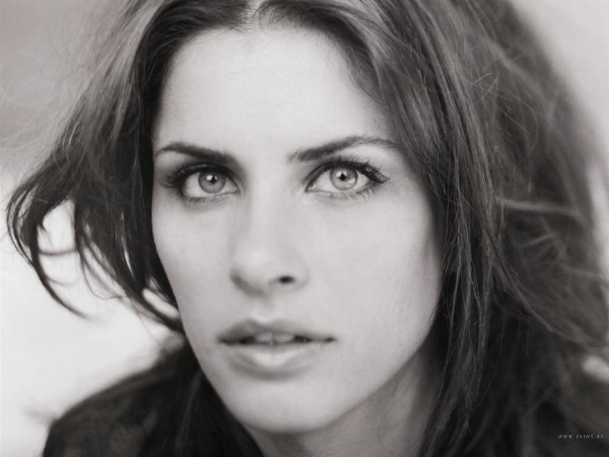 Amanda Peet Photo (  )  ,  /  - 14