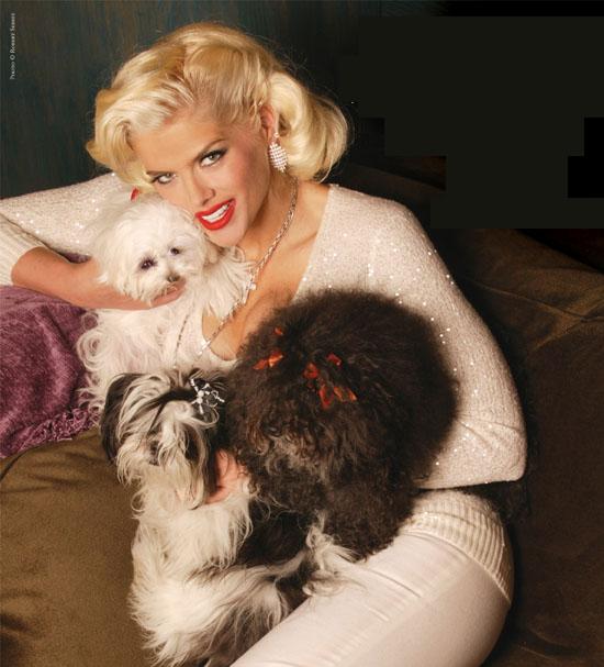 Anna Nicole Smith Photo (   )  , ,  /  - 4