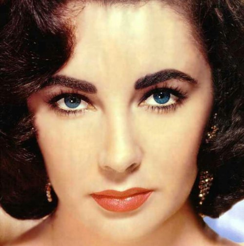 Elizabeth Taylor Photo (  )   /  - 19