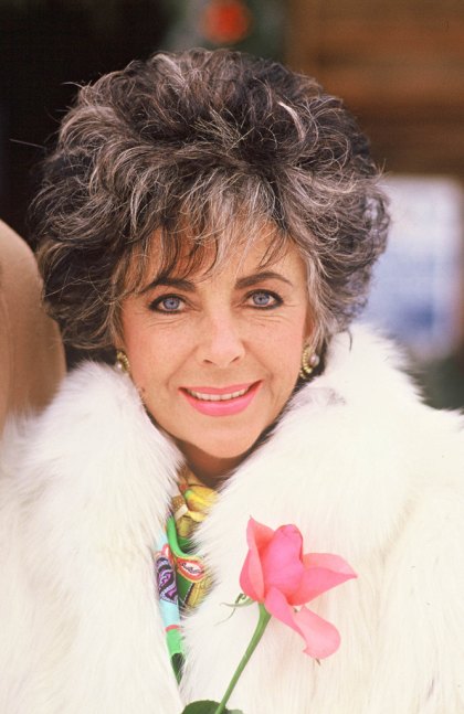 Elizabeth Taylor Photo (  )   /  - 22