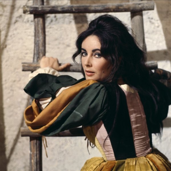 Elizabeth Taylor Photo (  )   /  - 29