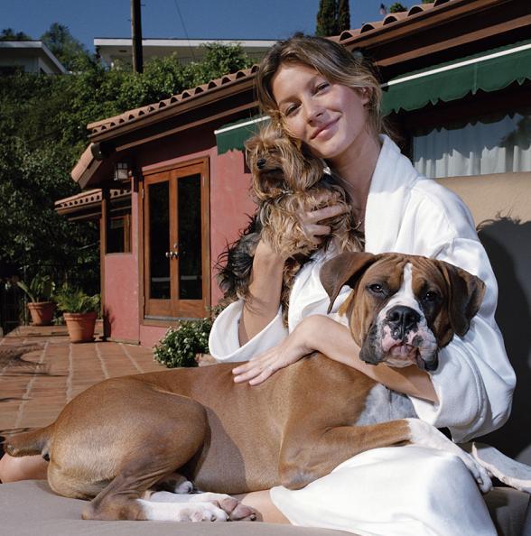 Gisele Bundchen Photo (  )     /  - 151