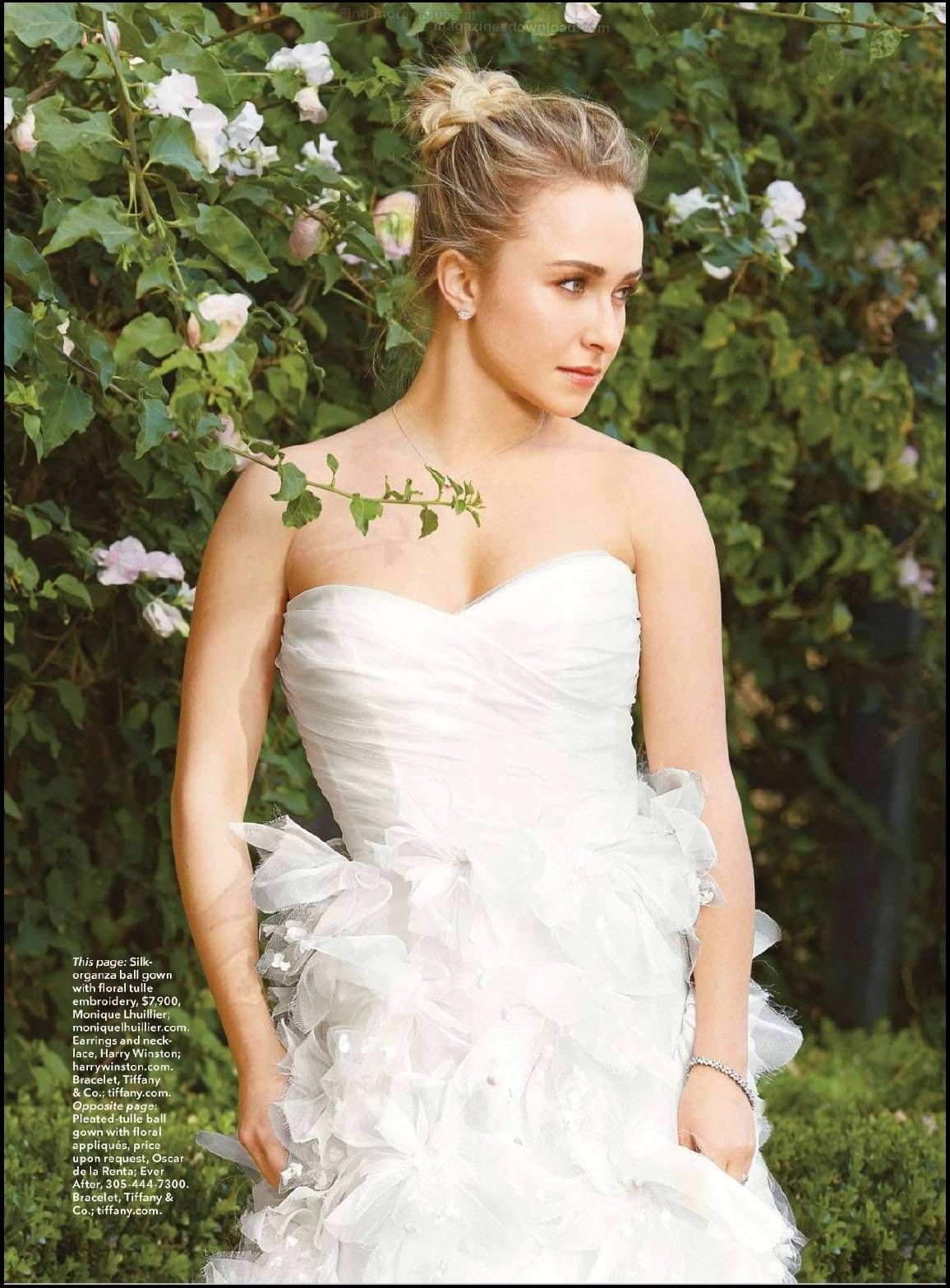 Hayden Panettiere Photo (  )  , ,  /  - 33