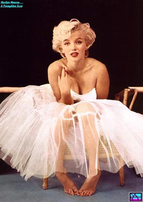 Marilyn Monroe Photo (  )  , ,  /  - 18