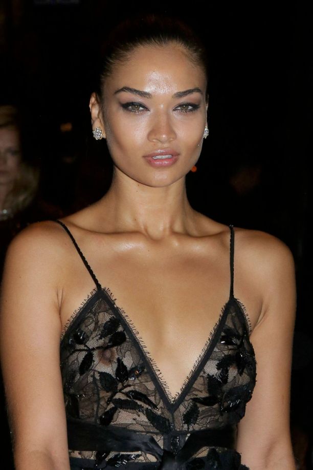 Shanina Shaik Photo (  )   /  - 5