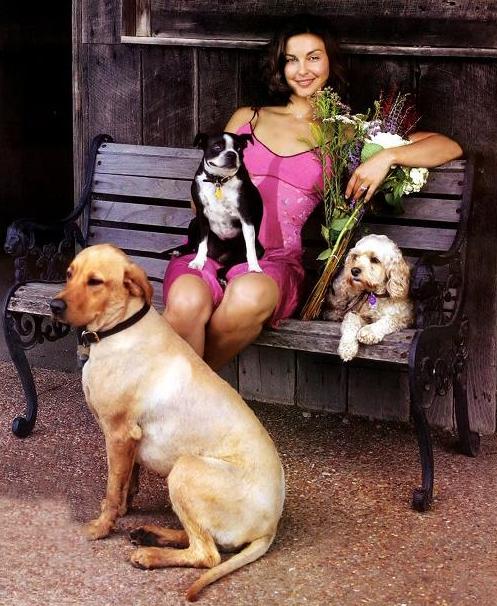 Ashley Judd ( ) /  - 3