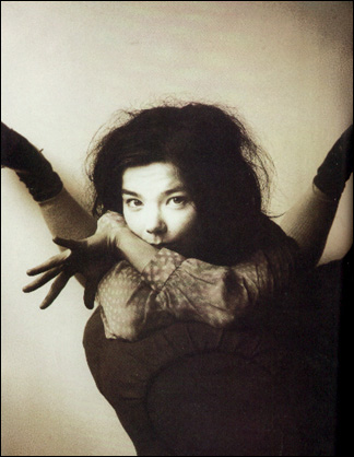 Bjork () /  - 33